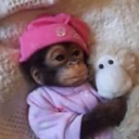 tinykissforyou2 avatar