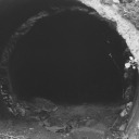 tinylittlemovements avatar