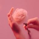 tinyluminaryzombie avatar