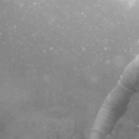 tinymoonlings-blog avatar