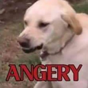 tinyplanetcalling avatar