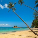 tinyshinytimelord avatar