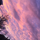 tinyshotglass avatar