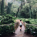 tinysolflower avatar