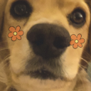 tinyspacestation avatar