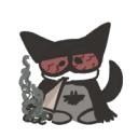 tinyspycat avatar
