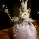 tinythiefbookworm avatar