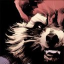 tinytrashpanda avatar