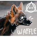 tinywafflerat avatar