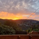 tinywastelandtiger avatar