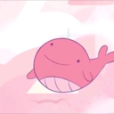 tinywhale avatar