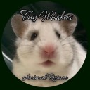 tinywhiskersanimalrescue avatar