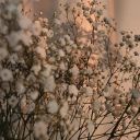 tinywritersblog avatar