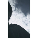 tipinizdegilim avatar