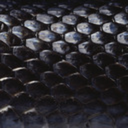 tipsforkinniesragingcore avatar