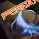 tipsfromfornax avatar