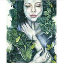 tipsizinsanornegi avatar