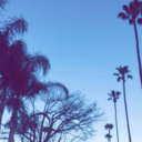 tipsontricksontips avatar