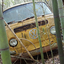 tipsy-tentacle avatar