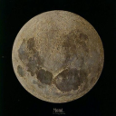 tired-asshole avatar