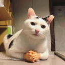 tired-bitchy-and-queer avatar