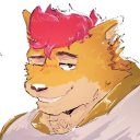 tired-shiba avatar