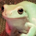 tired-writter avatar