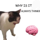 tiredandawake avatar