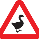 tiredgooseblog avatar