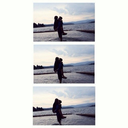 tiredofbullshits avatar