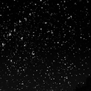 tiredofthesebones avatar