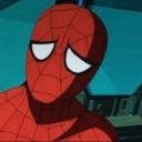 tiredspiderbat avatar