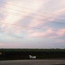 tiredstudentisme avatar