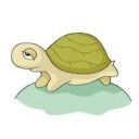 tiredtantalizingturtle avatar