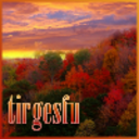 tirgesfu avatar