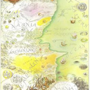 tirianthebrave avatar