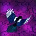 tis-i-espresso-magpie avatar