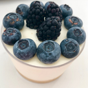 titanictomato-blog avatar