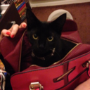 titaniumsphinx avatar