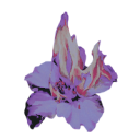 titanomyrmarc avatar