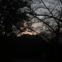 titines-world avatar