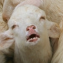 titinuss-blog avatar