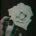 titlemewickedwonderland avatar