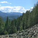 tits-mcghee-666 avatar