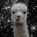 titsandfo0d-blog avatar