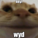 tittiesarenice avatar