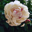 tkilbanemyers avatar