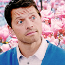 tlakhtwritesdestiel avatar