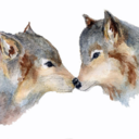 tmeraire-blog avatar