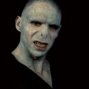 tmvoldemort avatar